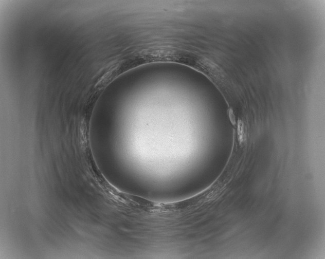 X0000066111107200603131255