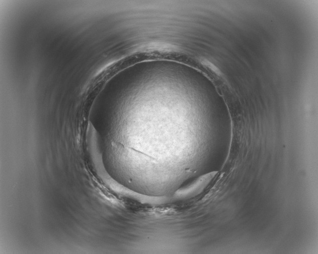 X0000066111112200603131255