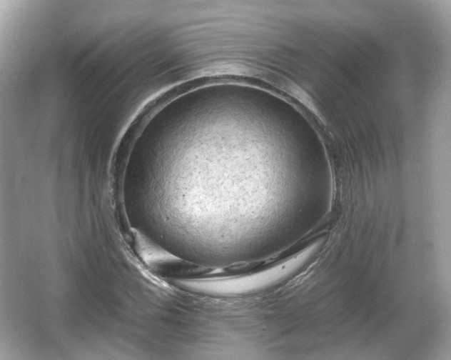 X0000066111116200603131255