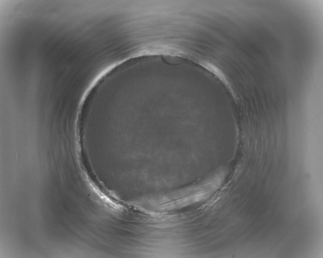 X0000066111120200603131255