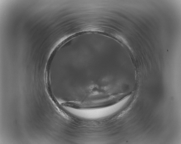 X0000066111125200603131255
