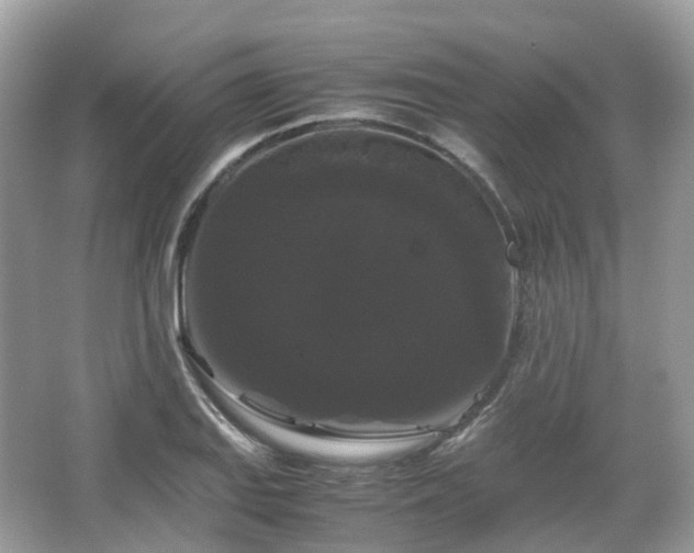 X0000066111127200603131255