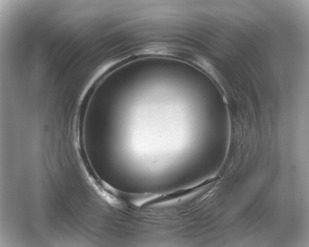 X0000066111131200603131255