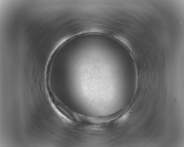 X0000066111135200603131255