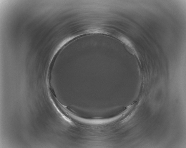 X0000066111141200603131255