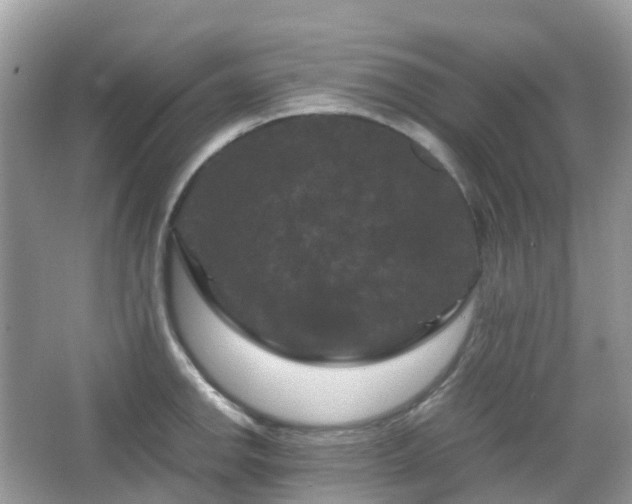 X0000066111142200603131255