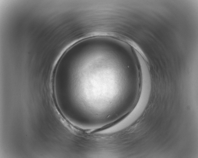 X0000066111148200603131255