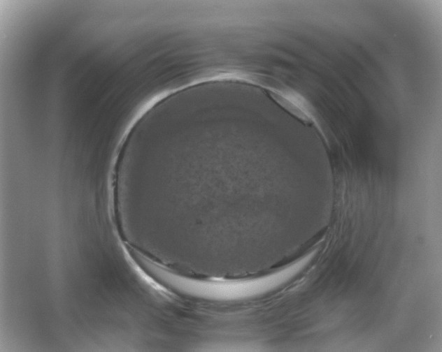 X0000066111151200603131255