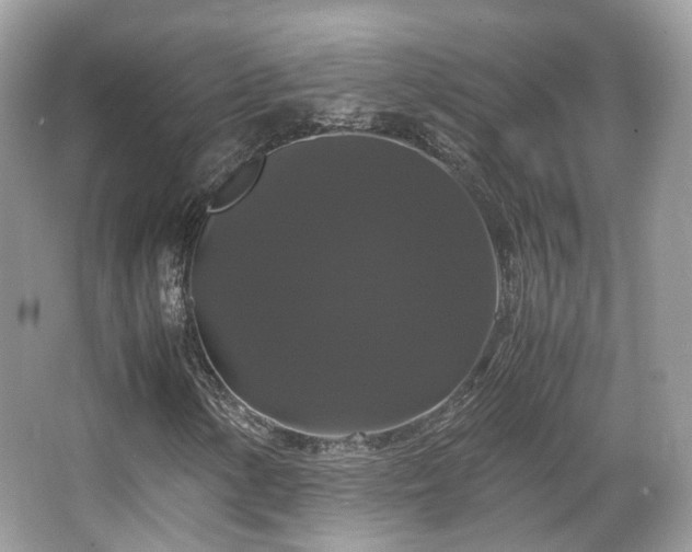 X0000066111154200603131254