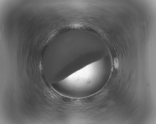 X0000066111155200603131254