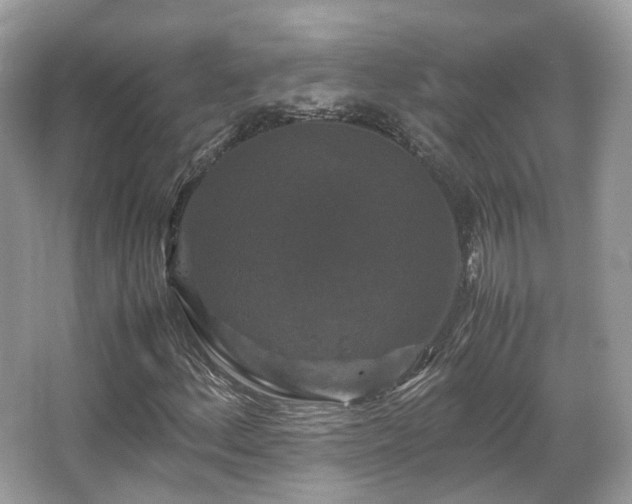 X0000066111156200603131254