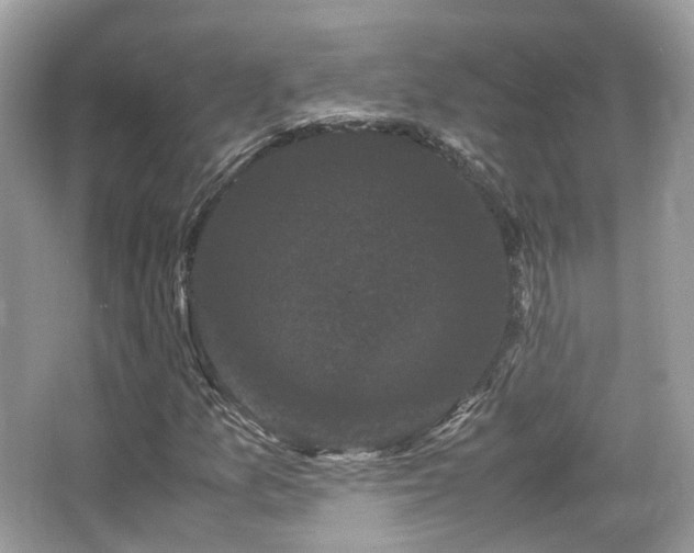 X0000066111157200603131254