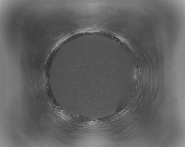 X0000066111160200603131254