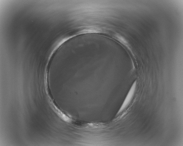 X0000066111179200603131254