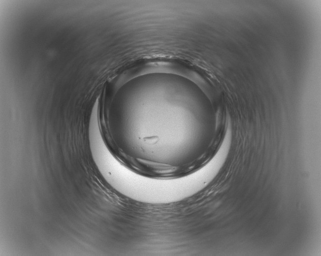 X0000066111202200603131253