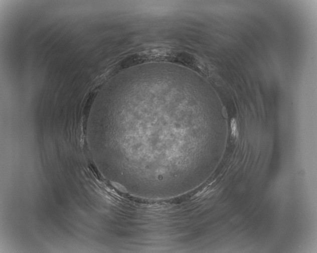 X0000066111203200603131253