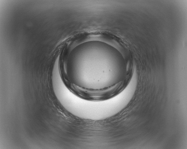 X0000066111206200603131253