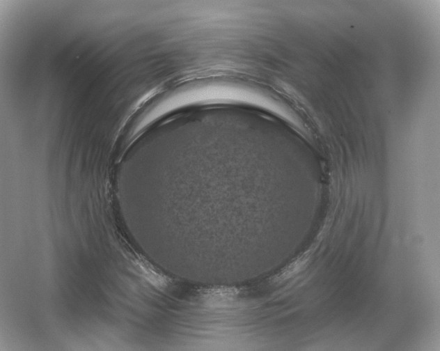 X0000066111210200603131253