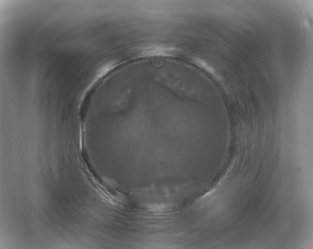 X0000066111219200603131253