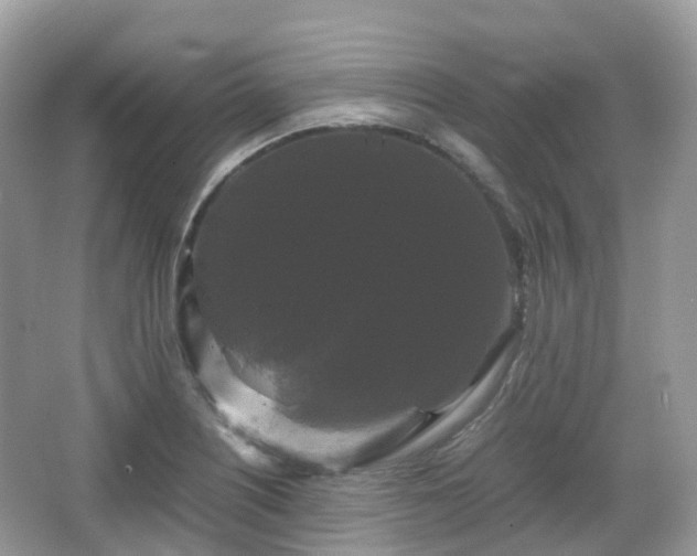 X0000066111226200603131253