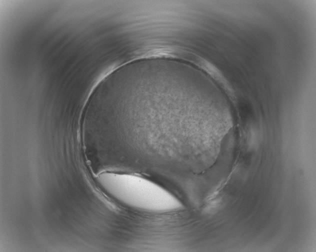 X0000066111234200603131253