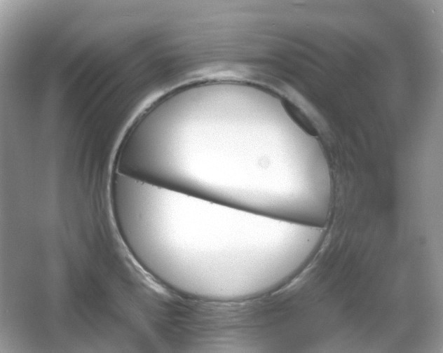 X0000066111240200603131254