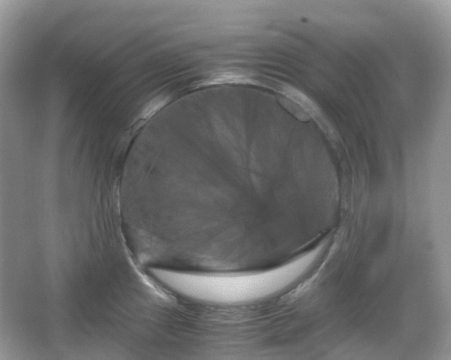X0000066111241200603131254