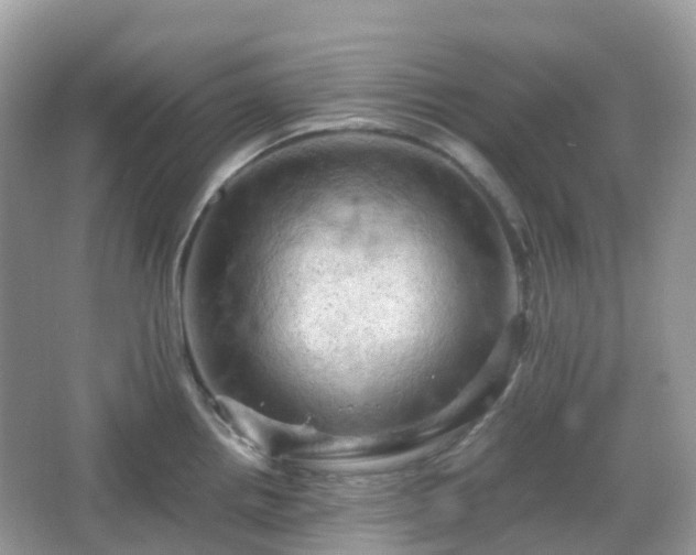 X0000066111242200603131254