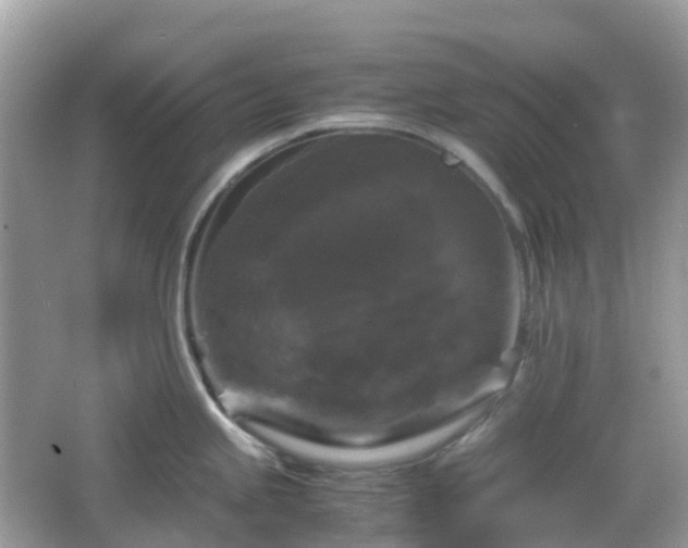 X0000066111245200603131254