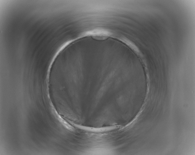 X0000066111248200603131254
