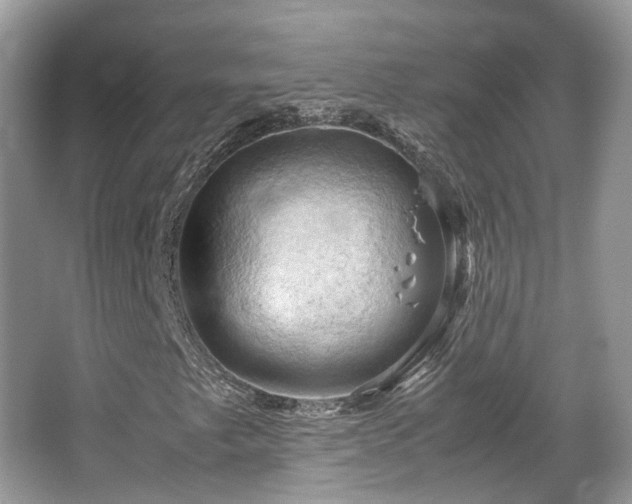 X0000066111249200603131253