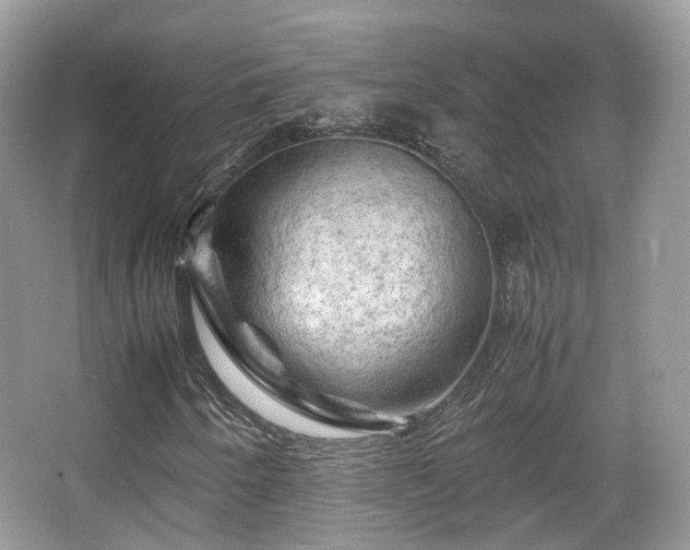 X0000066111250200603131253