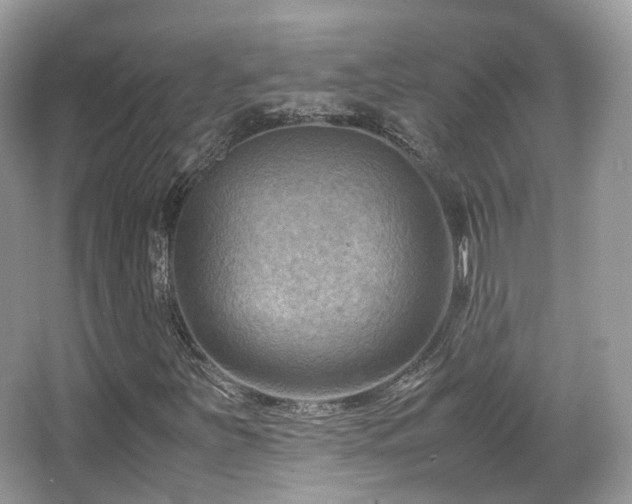 X0000066111251200603131253