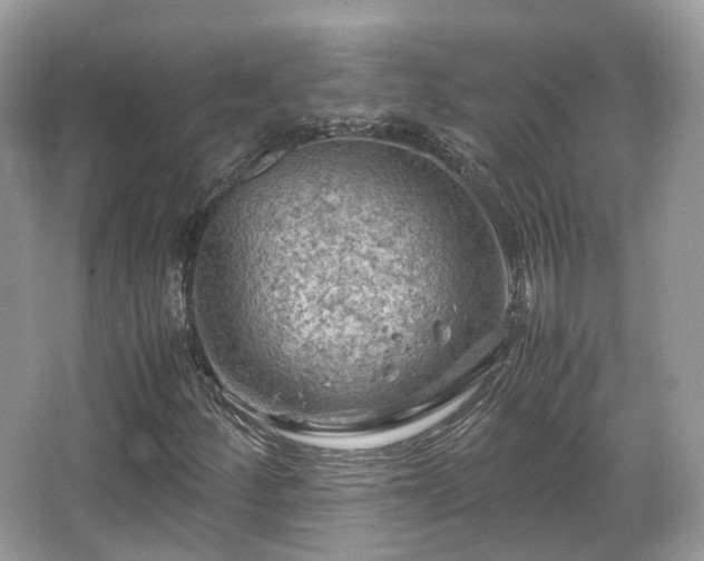 X0000066111252200603131253