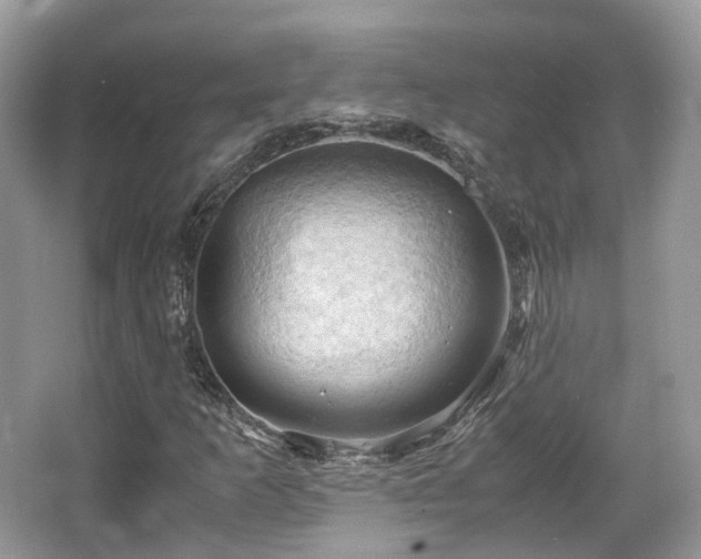 X0000066111253200603131253