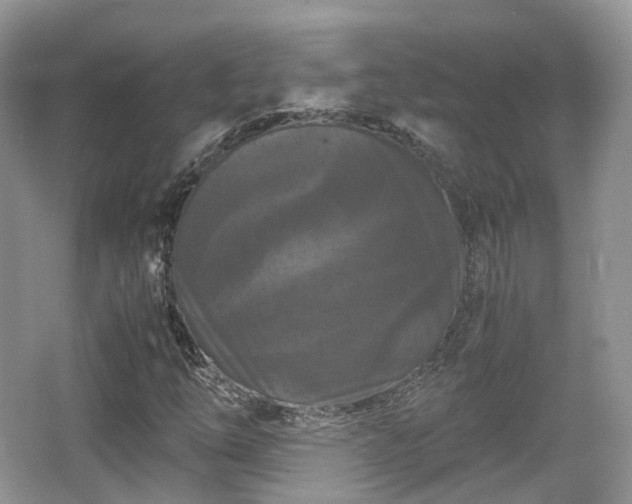 X0000066111254200603131253