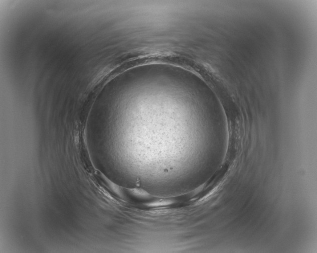 X0000066111257200603131253