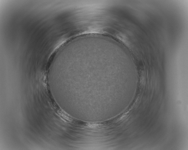 X0000066111258200603131253