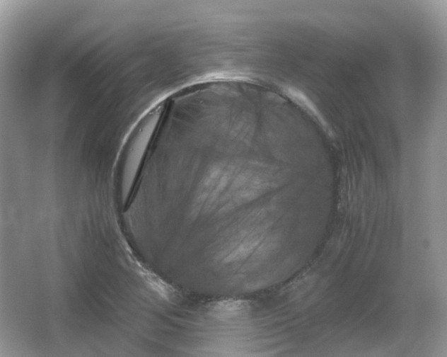 X0000066111268200603131253