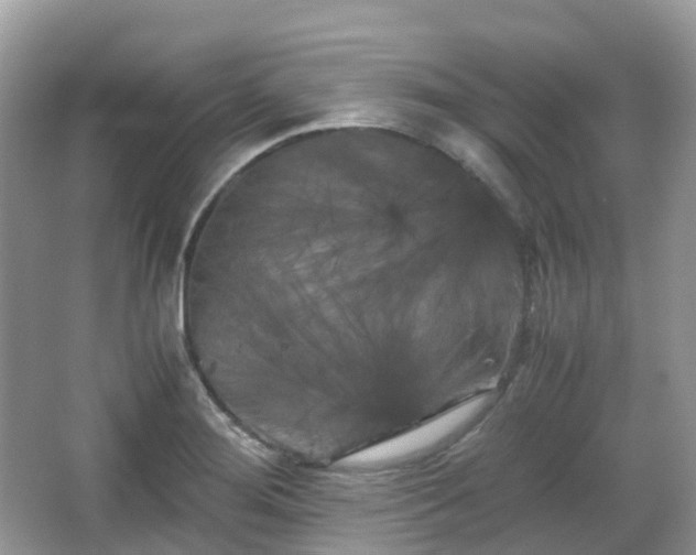 X0000066111276200603131252