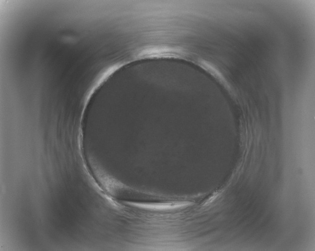 X0000066111277200603131252