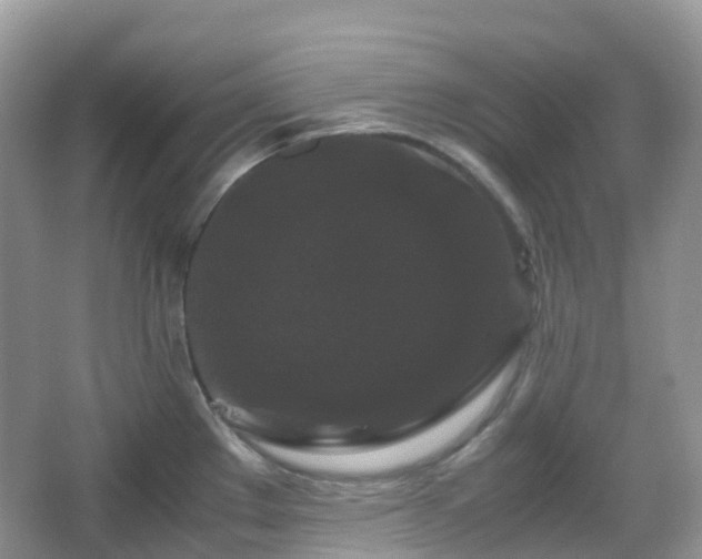 X0000066111289200603131252