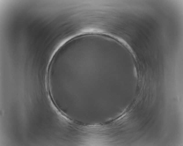X0000066111295200603131252