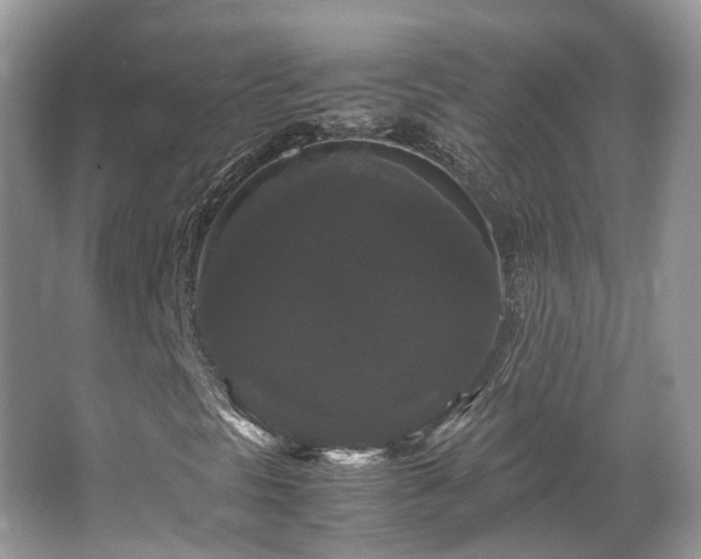 X0000066111297200603131251