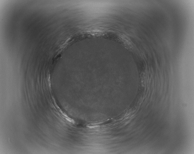 X0000066111298200603131251