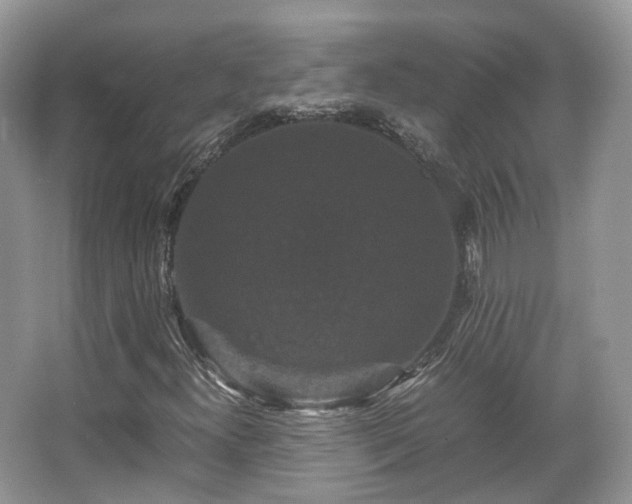 X0000066111300200603131251