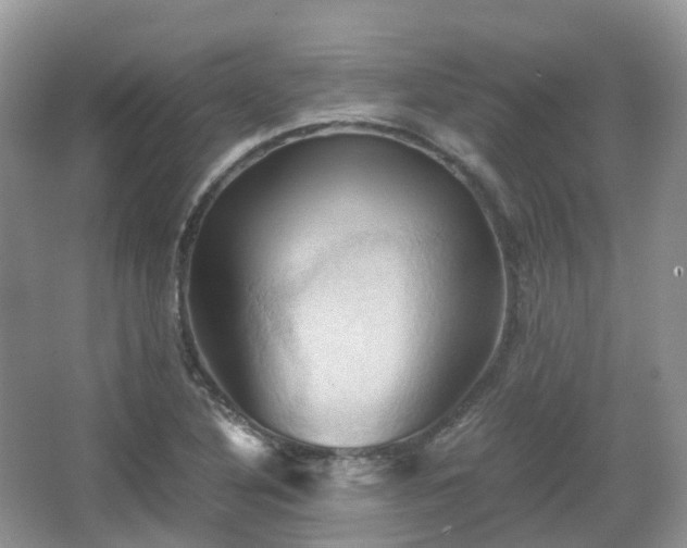 X0000066111316200603131252
