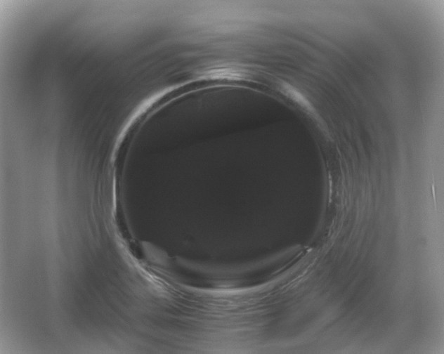 X0000066111323200603131252