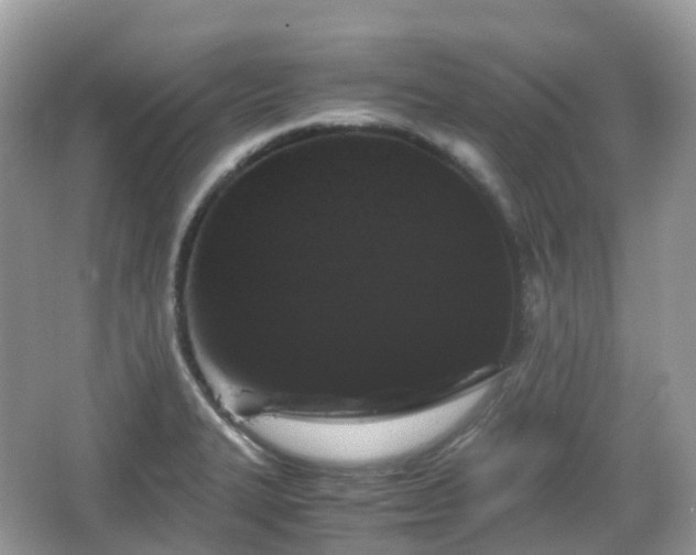 X0000066111327200603131252