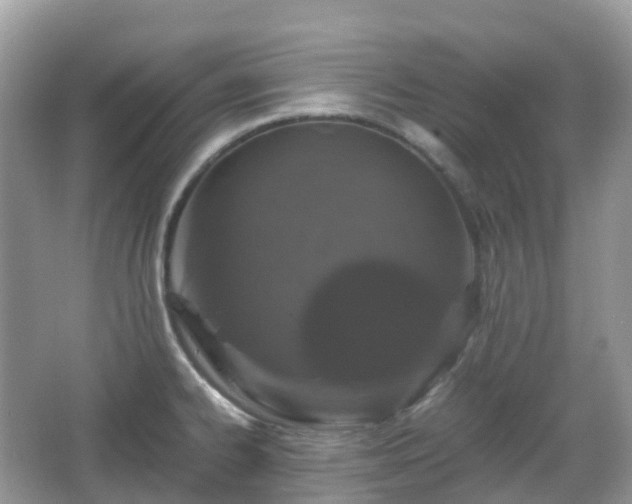 X0000066111334200603131252